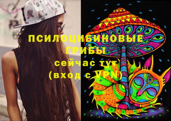 PSILOCYBIN Алзамай