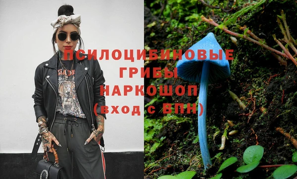 a pvp Алексин